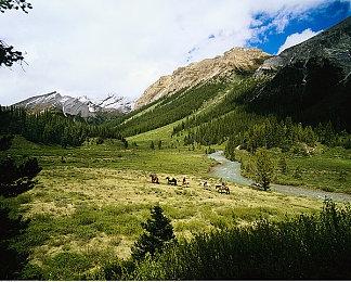 《死亡空间2：重制版》有可能被EA取消了 初代重制版销量并不好